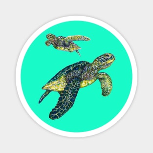 Sea turtles Magnet